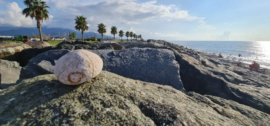 na-mashine-v-gruziyu