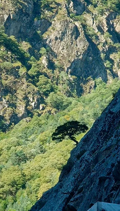 verhnij-lars-ochered